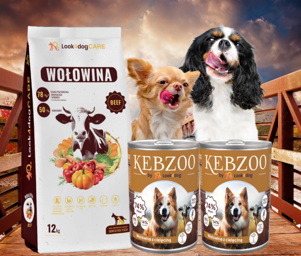 Jak zadbać o zdrowie psa poprzez odpowiednią dietę?