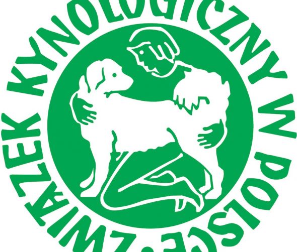 ​​Kompendium wiedzy: zakup rasowego psa