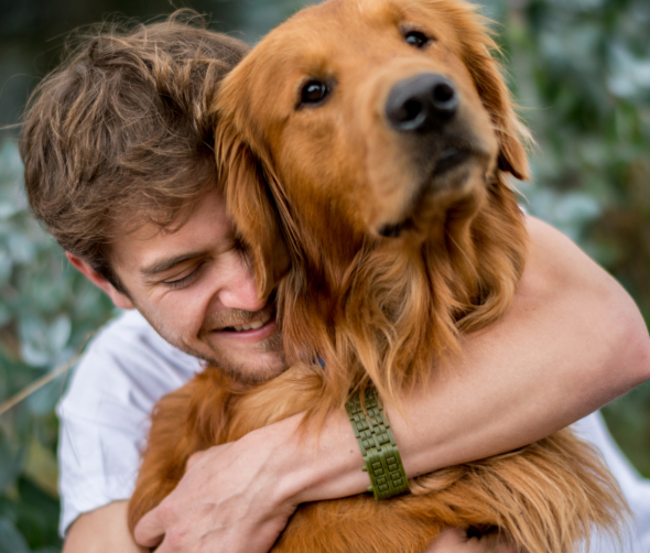 Mistrzowie węchu: Jak psy wykrywają choroby i ratują życie