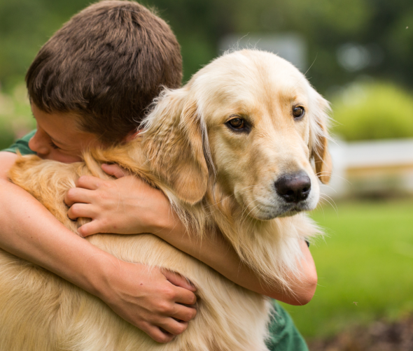 Najlepsze techniki budowania więzi z nowym psem.