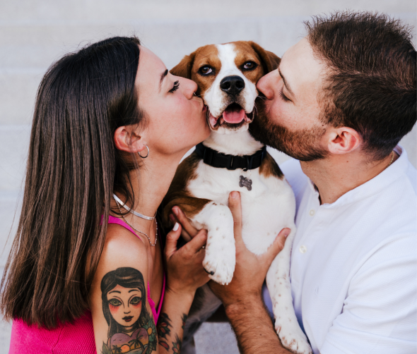 Obowiązki właściciela psa: Przewodnik dla odpowiedzialnych opiekunów