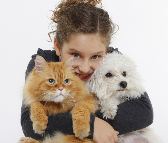 Pies i kot pod jednym dachem? Czy jest możliwa harmonia w domu? 