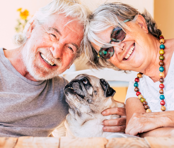 Pieski seniorzy: Jak dbać o starszego psa?