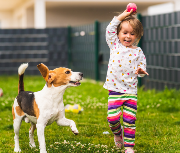 Rola zabawy w życiu psa: klucz do zdrowia i szczęścia