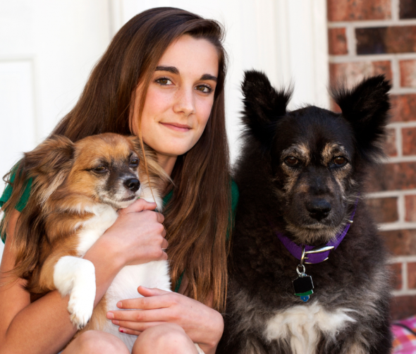 Sekretne życie starzejących się psów: fakty i mity na temat psiej starości.