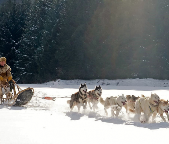 Sporty zimowe dla ciebie i twojego czworonożnego przyjaciela