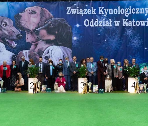  XXV Jubileuszowa Międzynarodowa Wystawa Psów Rasowych w Katowicach 13.02.2022