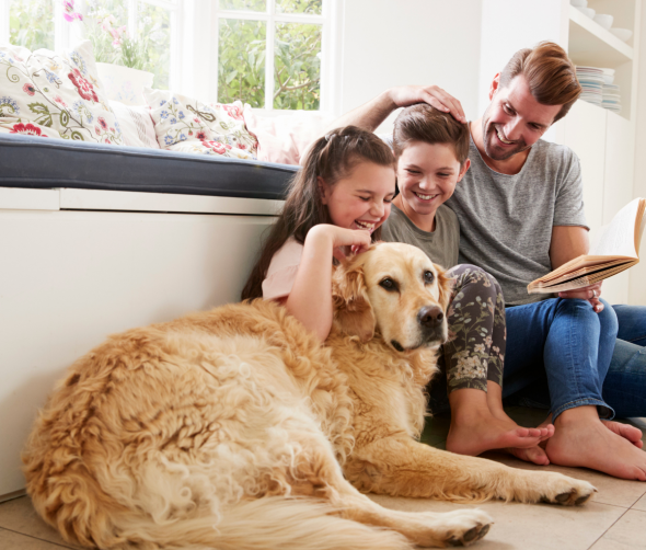 Zwierzęce sympatie: Jak psy wybierają swoich ulubionych ludzi?