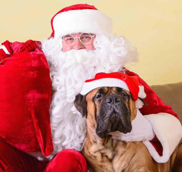 Mikołajki z psem – pomysły na świąteczne radości dla czworonogów