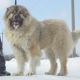 Жизнь из Столицы России
