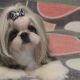 VIKTORIA LALI LOVLY LITTLE DOLL