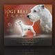 JOGI BEAR EQUUS 