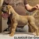 GLAMOUR