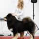 Dakotta Clab Rinchinsenge