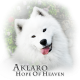 Aklaro HOPE OF HEAVEN