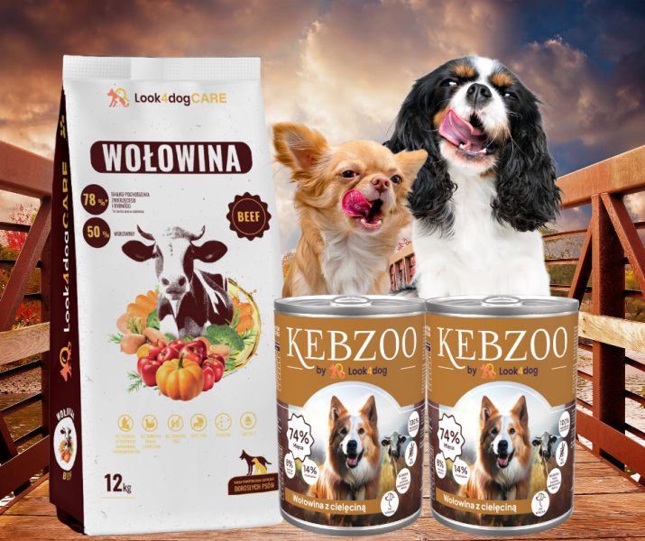 Jak zmienić karmę psu? Stopniowe przejście krok po kroku